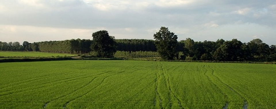 Emilia Romagna - Poebene