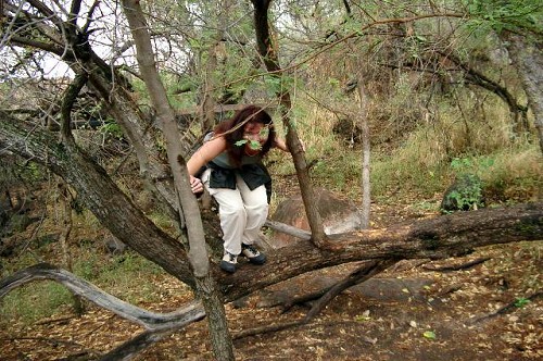 Waterberg Plateau