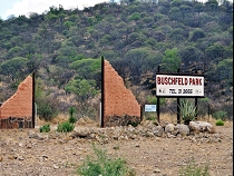 Buschfeld Park Resort in Outjo