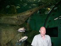 Meeresaquarium