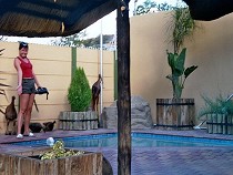 Hotel Eros in Windhoek