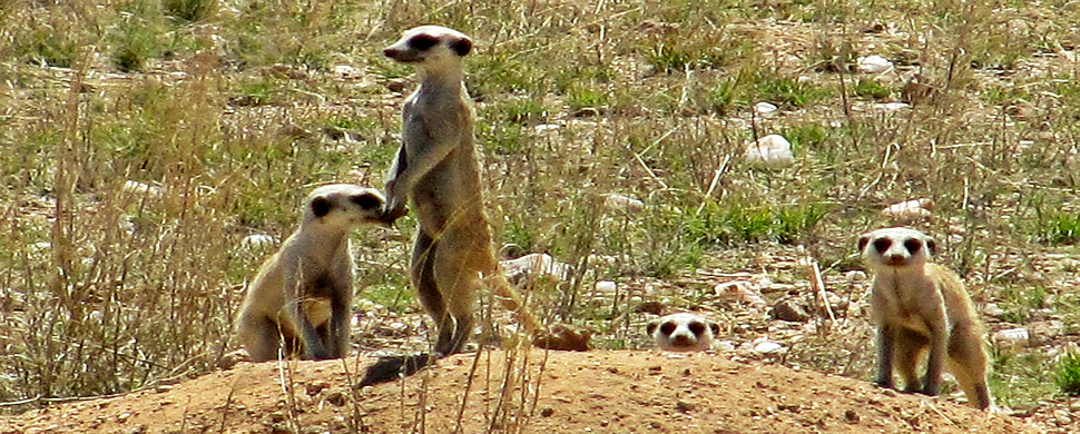 Namibia 2012 - fernweh-jochen-andrea.de