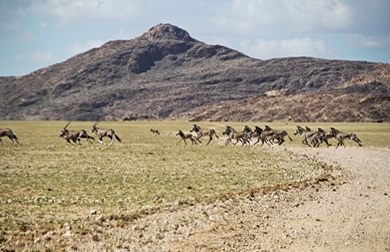 Namib Naukluft Park