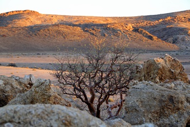 Namib Naukluft Park