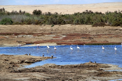 Lagune von Swakopmund