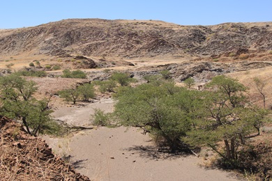 Orgelpfeifen - Organ Pipes