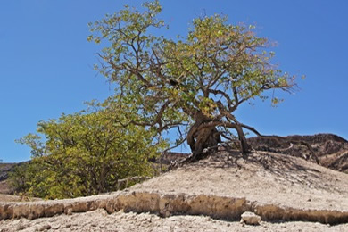 Khowarib-Schlucht