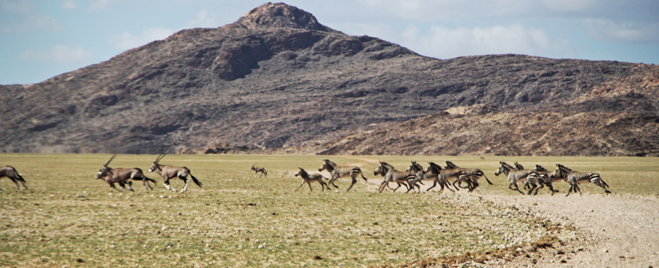 Namib Naukluft Park