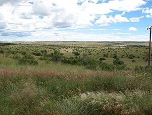 Namibia grün - vom Flughafen nach Windhoek