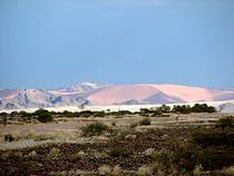 dünen in namibia