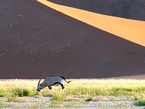 Sossusvlei - Namib