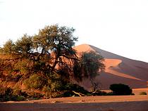 Sossusvlei - Namib