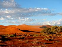 Sossusvlei - Namib