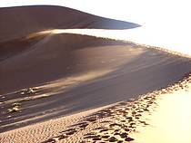 Sossusvlei - Namib