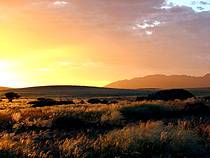 Namib Naukluft Park