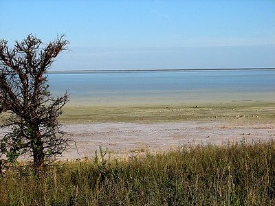 Etoscha National Park