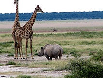 Etoscha Nationalpark