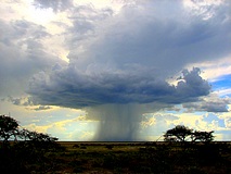 Etoscha Nationalpark