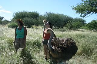 Porcupine Camp