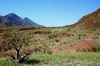 Marienflusstal