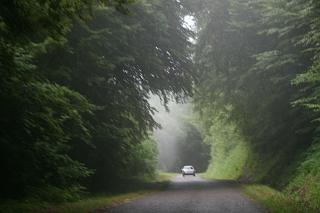 aufziehender Nebel