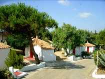 Camping Acapulco in Palau