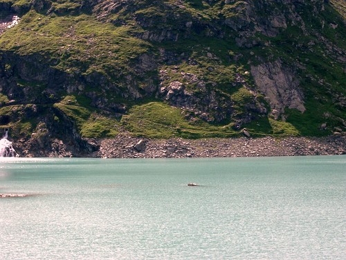 Splgen Pass mit See