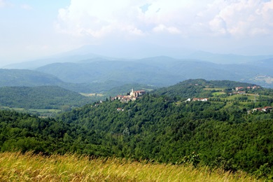 Sale delle Langhe